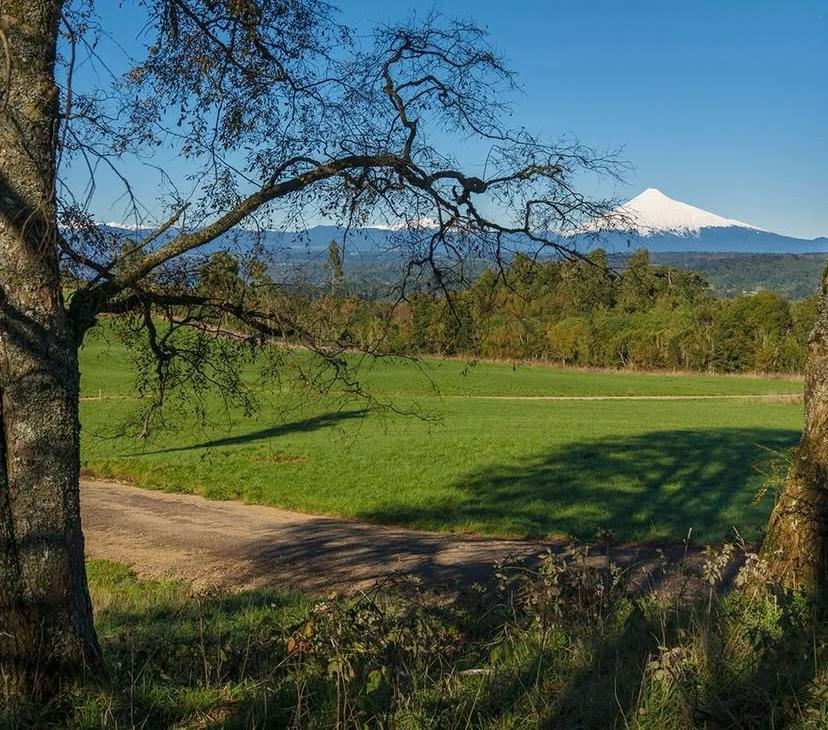 Parcelas en Laderas del Rupanco – Desde 5.000 m² - Imagen 2