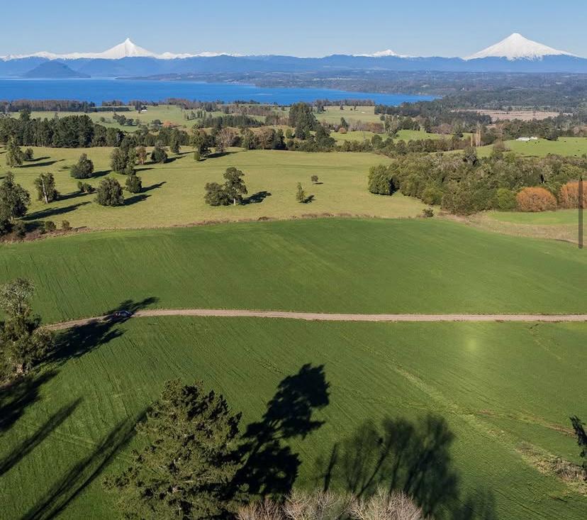 Parcelas en Laderas del Rupanco – Desde 5.000 m² - Imagen 3