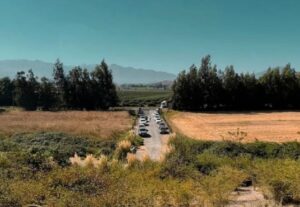 Terreno en Boldos de Colchagua – 5.000 m²