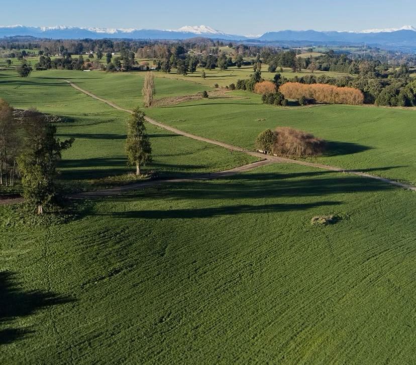 Parcelas en Laderas del Rupanco – Desde 5.000 m² - Imagen 4