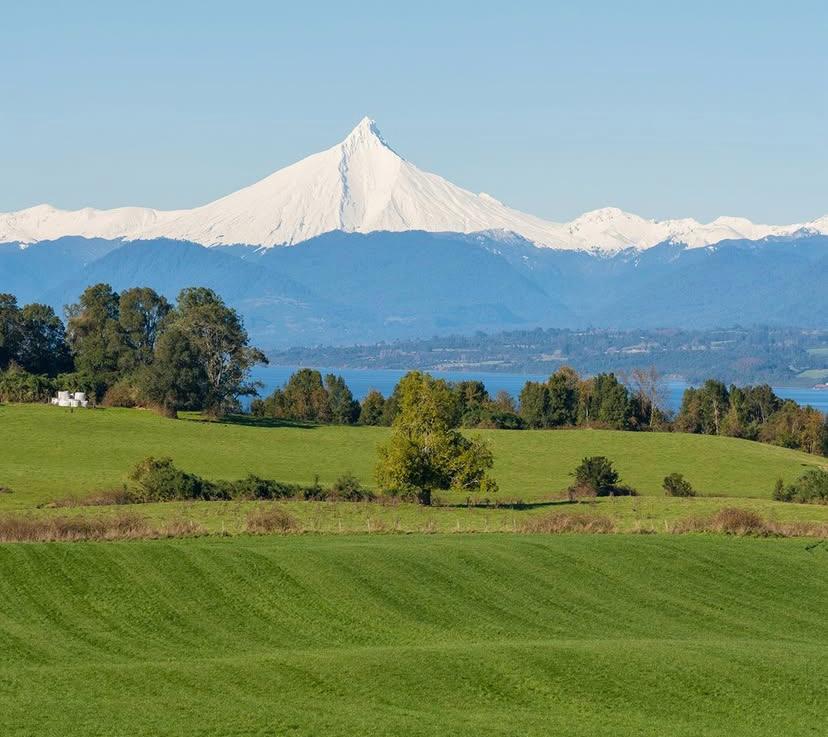 Parcelas en Laderas del Rupanco – Desde 5.000 m² - Imagen 5
