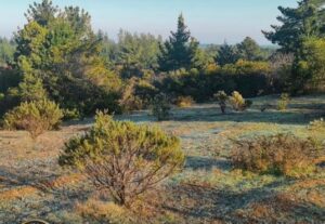 Terreno en Alto Pichilemu – 5.000 m²