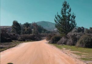 Terreno en Alto Rapel – 5.000 m²